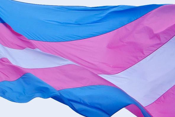 Celebrate Transgender Week Of Awareness Uknow